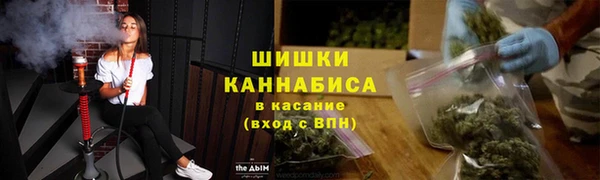 гашик Арсеньев