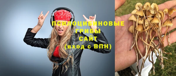 прущие крисы Армянск